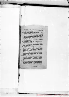 Fotogramma C 6