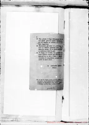 Fotogramma C 7