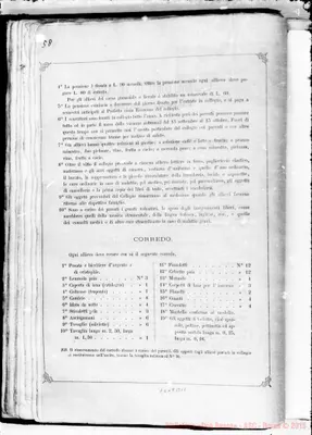 Fotogramma B 11