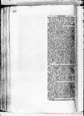 Fotogramma B 2