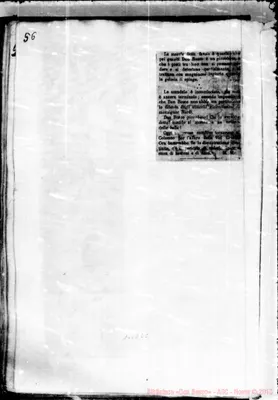 Fotogramma E 8