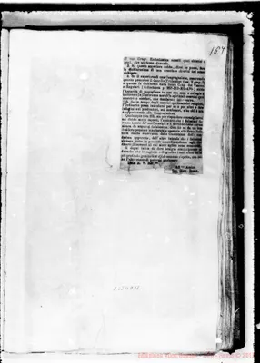 Fotogramma D 11