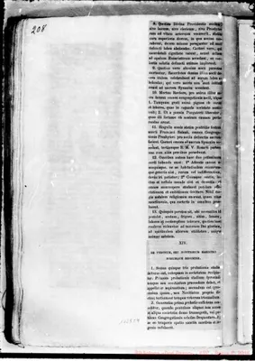 Fotogramma C 4