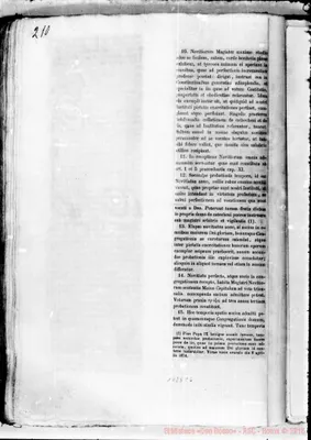 Fotogramma C 6