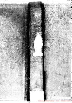 Fotogramma A 11