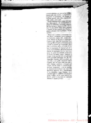 Fotogramma D 11
