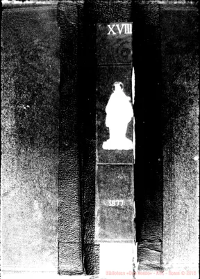 Fotogramma D 11