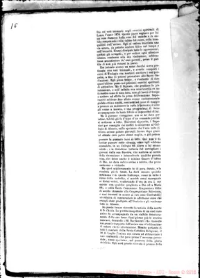 Fotogramma E 11