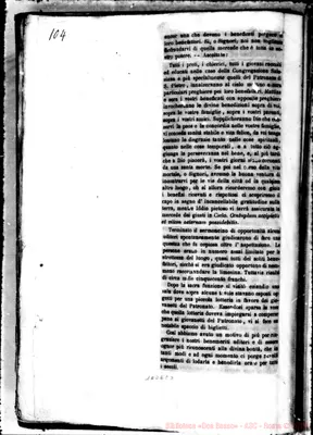 Fotogramma C 3