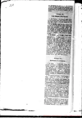Fotogramma E 8