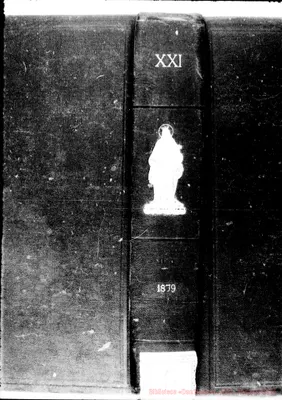 Fotogramma D 3
