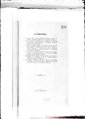 Fotogramma D 11