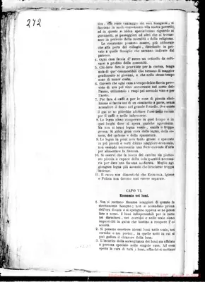 Fotogramma D 9