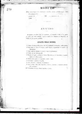 Fotogramma D 11