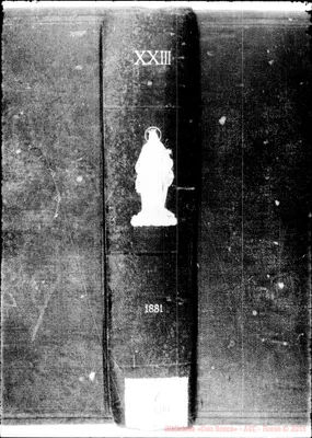 Fotogramma D 6