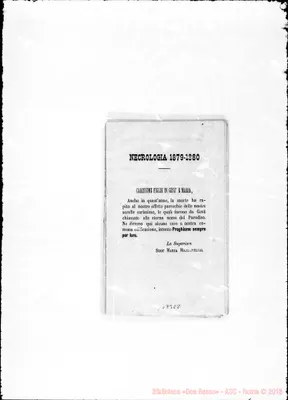 Fotogramma E 8