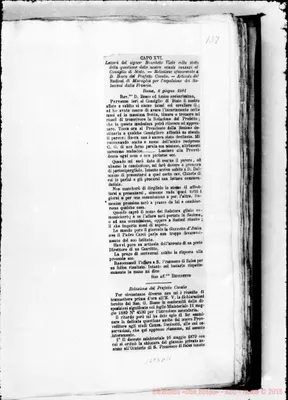 Fotogramma D 11