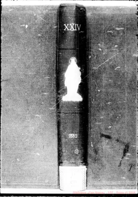 Fotogramma C 8