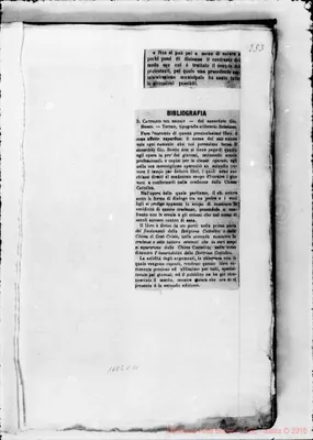 Fotogramma C 11