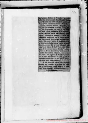 Fotogramma C 2