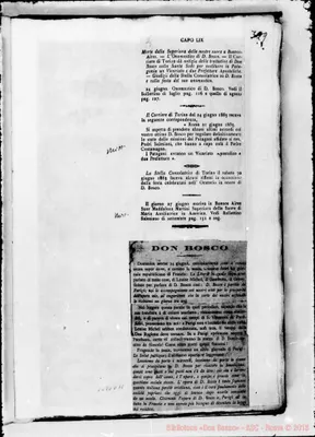 Fotogramma D 11
