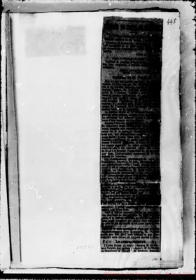 Fotogramma D 3