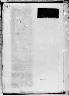 Fotogramma D 4