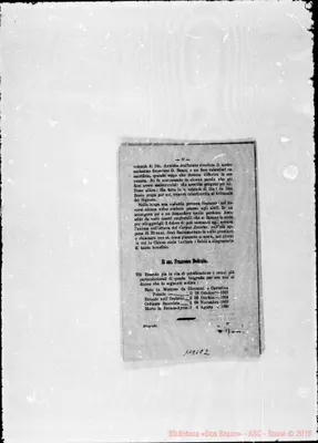 Fotogramma C 2