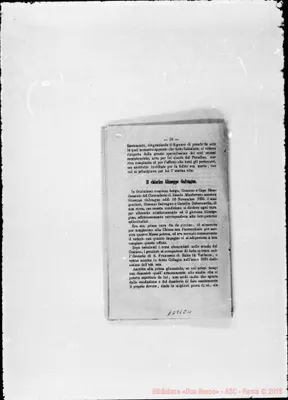 Fotogramma C 11