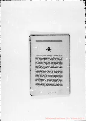 Fotogramma B 6