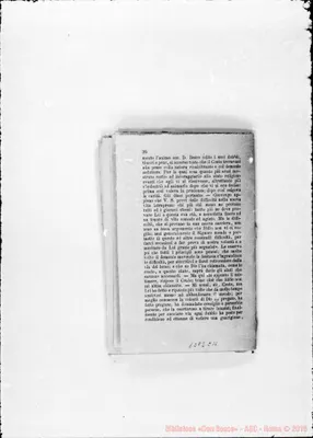 Fotogramma C 11