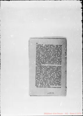 Fotogramma D 3