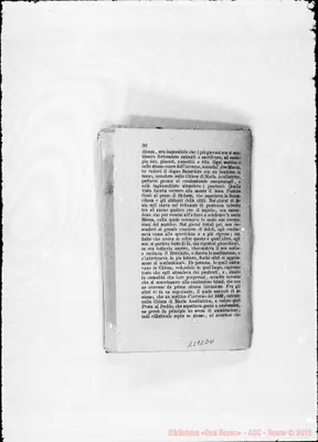 Fotogramma D 11