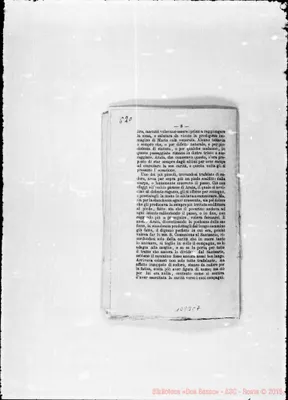 Fotogramma C 7