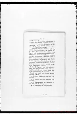 Fotogramma A 12