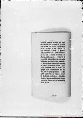 Fotogramma C 2