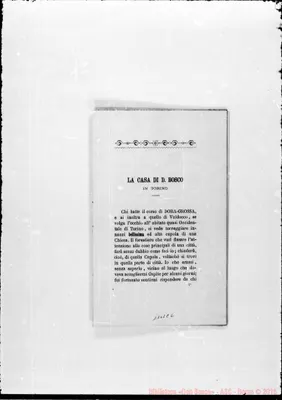 Fotogramma C 6