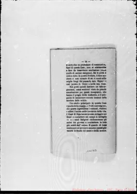 Fotogramma D 3