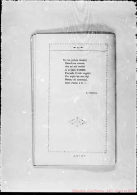 Fotogramma B 3