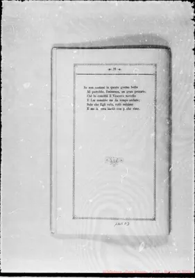 Fotogramma D 3