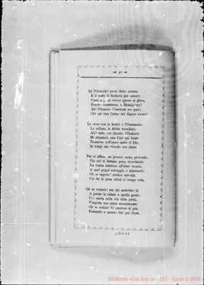 Fotogramma D 5