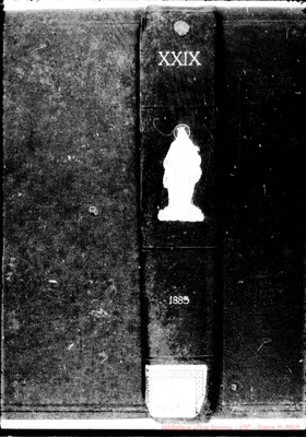 Fotogramma B 3