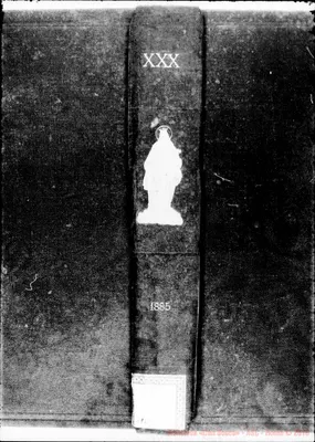 Fotogramma B 10