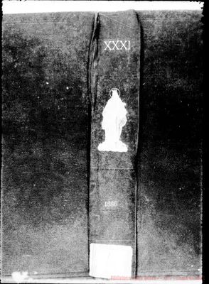 Fotogramma D 10