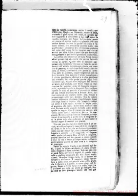 Fotogramma A 11