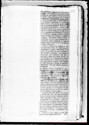 Fotogramma D 1