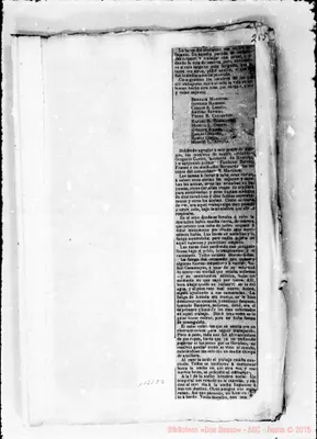 Fotogramma C 3