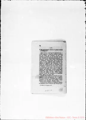 Fotogramma C 10