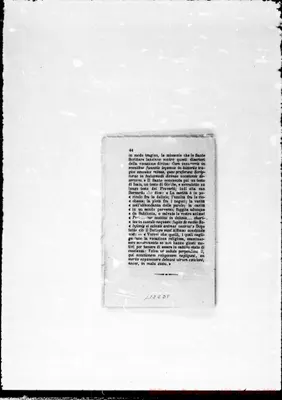 Fotogramma D 8