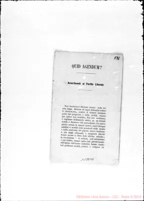 Fotogramma B 8
